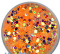 polvere glitter nuova arancio
